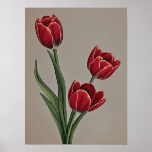 Red Tulip Blume Poster (Vorne)
