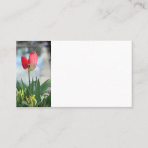 Red Tulip Business Cards Visitenkarte
