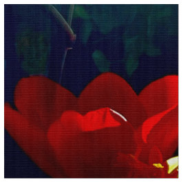 Red Tulip Fabric Stoff