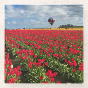 Red Tulip Field mit Hot Air Ballon Glasuntersetzer