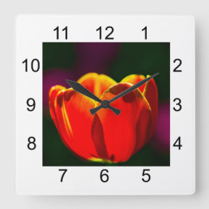 Red tulip flower quadratische wanduhr