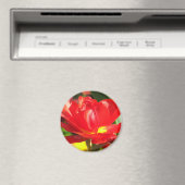 Red Tulip Fotografen Magnet (In Situ (Geschirrspüler))