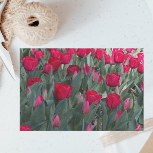 Red Tulip Garden Floral Seidenpapier