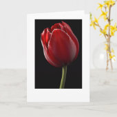 Red Tulip Grußkarte Karte (Gelbe Blume)