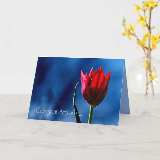 Red Tulip Happy Scheidung Day Karte (Gelbe Blume)