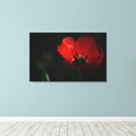 Red Tulip Leinwanddruck (Insitu (Holzboden))