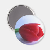 Red Tulip Magnet (Vorderseite/Rückseite)