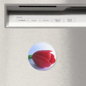 Red Tulip Magnet (In Situ (Geschirrspüler))