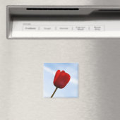 Red Tulip Magnet (In Situ (Geschirrspüler))