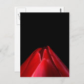Red Tulip Minimalistisch Floral Postkarte (Vorne/Hinten)