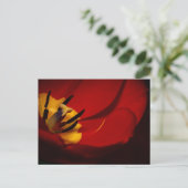 Red Tulip Post Card Postkarte (Stehend Vorderseite)