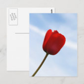 Red Tulip Postcard Postkarte (Vorne/Hinten)