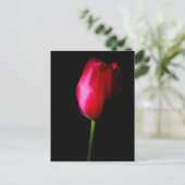Red Tulip Postcard Postkarte (Stehend Vorderseite)