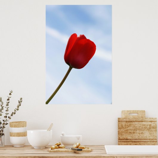 Red Tulip Poster (Küche)