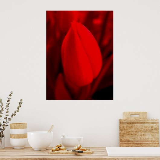 RED TULIP Poster (Küche)