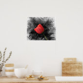Red Tulip Poster (Küche)