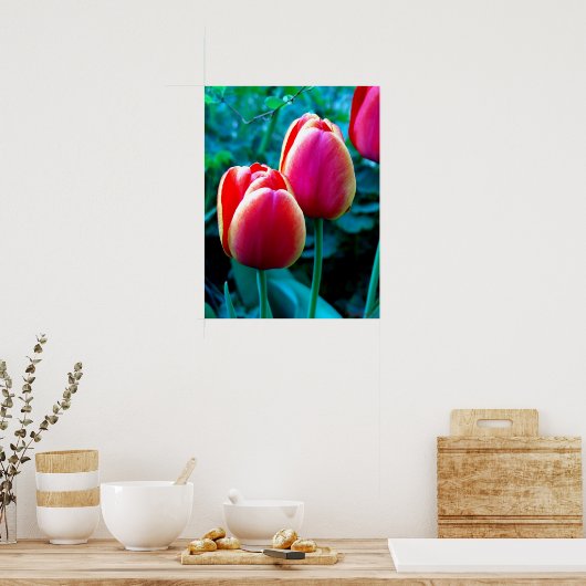 Red Tulip Poster (Küche)
