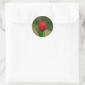 Red Tulip Spring Blume Runder Aufkleber (Tasche)