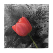 Red Tulip Tile Fliese (Vorderseite)