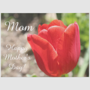 Red Tulip Tissue Seidenpapier