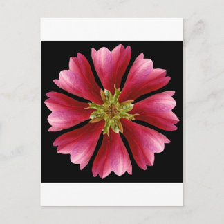 Red Tulip Tree Postkarte