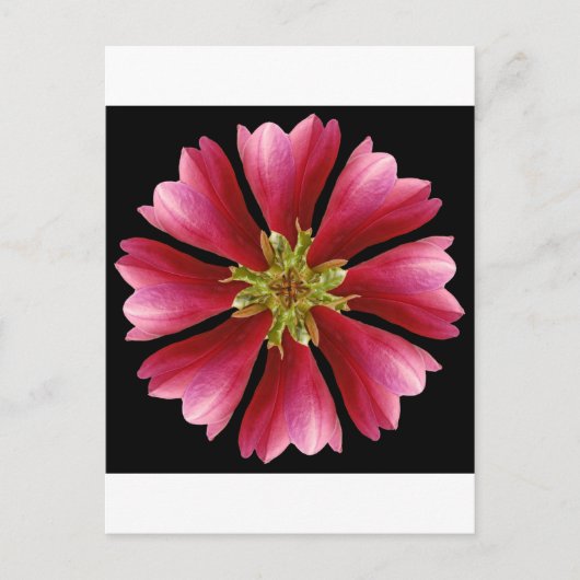 Red Tulip Tree Postkarte (Vorderseite)