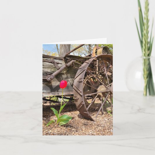 Red Tulip und Old Wagon Vielen Dank Karte (Vorderseite)