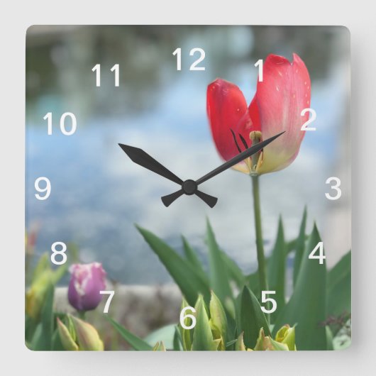 Red Tulip Wall Clock Quadratische Wanduhr (Vorderseite)