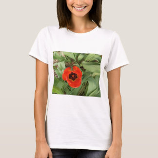 Red Tulip Womans T-Shirt