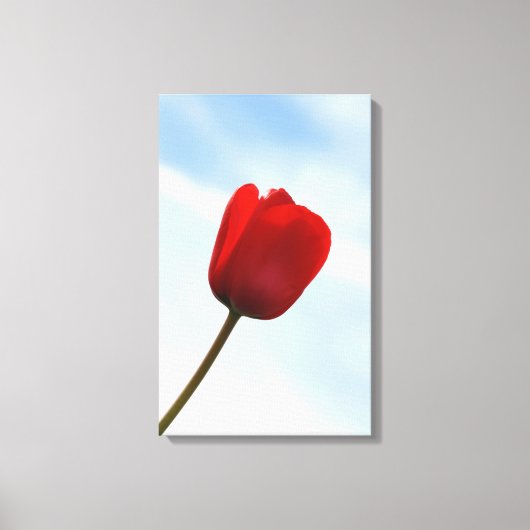 Red Tulip Wrapped Canvas Leinwanddruck (Vorderseite)