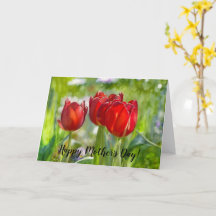 Red Tulips Art Mother Day Card