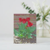 Red Tulips Art Postkarte (Stehend Vorderseite)