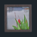 Red Tulips Blue Lake Arrowhead Wasser Kiste<br><div class="desc">Foto von Spring Red Tulip vom Lake Arrowhad blaues Wasser,  aufgenommen von Sandy Closs</div>