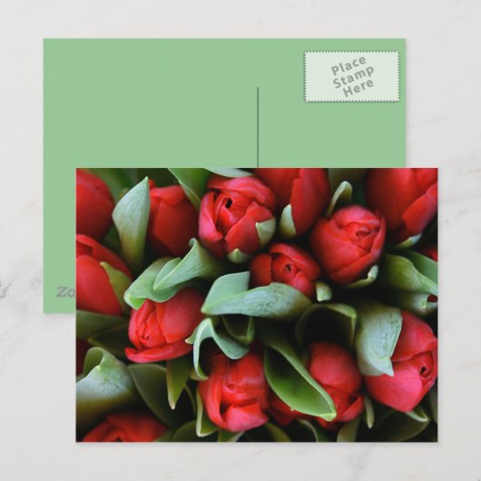 Red Tulips Bouquet Postkarte (Vorne/Hinten)