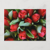 Red Tulips Bouquet Postkarte (Vorderseite)