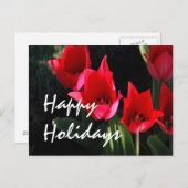 Red Tulips Feiertagspostkarte (Vorne/Hinten)