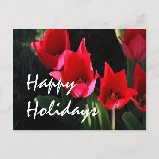 Red Tulips Feiertagspostkarte (Vorderseite)