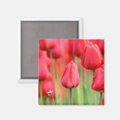 Red Tulips Foto Magnet (Vorderseite/Rückseite)