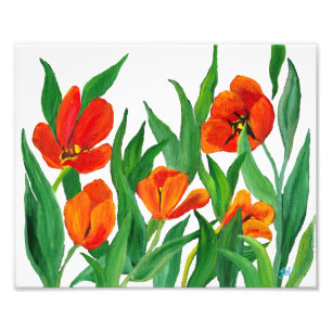 Red Tulips Fotodruck