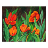 Red Tulips Fotodruck (Vorne)