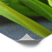 Red Tulips für Kerstin Poster Print (Ecke)