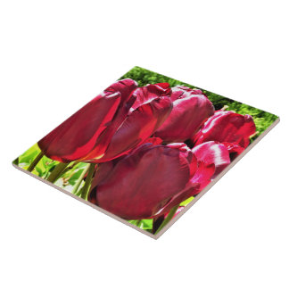 Red Tulips Keramik Tile Fliese