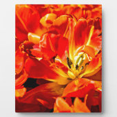 Red Tulips Macro Fotoplatte (Vorderseite)