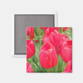 Red Tulips Magnet (Vorderseite/Rückseite)