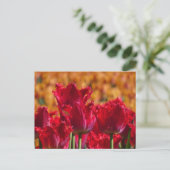 Red Tulips mit Orange Background DIY Postkarte (Stehend Vorderseite)