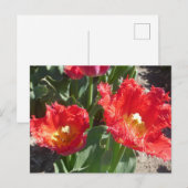 Red Tulips Nah Up DIY Postkarte (Vorne/Hinten)