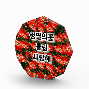 Red Tulips Pattern Fotoblock