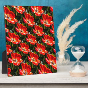 Red Tulips Pattern Fotoplatte
