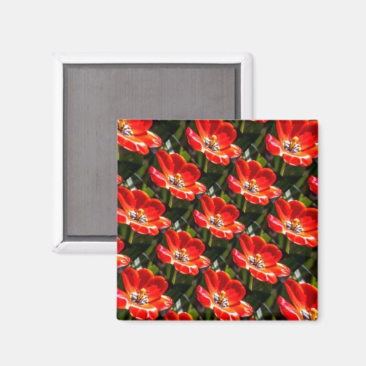 Red Tulips Pattern Magnet (Vorderseite/Rückseite)