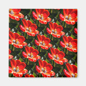 Red Tulips Pattern Magnet (Vorne)